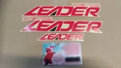 Наклейки Honda Leader Custom