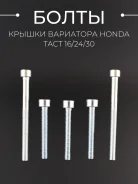 Болты крышки вариатора Honda TACT AF16 AF24 AF30 AF31 AF51 Giorno AF24