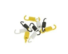 Пружинки сцепления Malossi Racing Honda Tact, Dio, Giorno, QMB